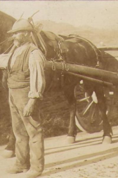 29a