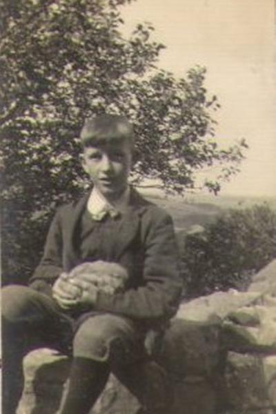 33